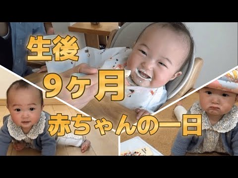 【生後9か月】赤ちゃんの一日！ずりばいマスター♪離乳食3回＋おやつ始めました！