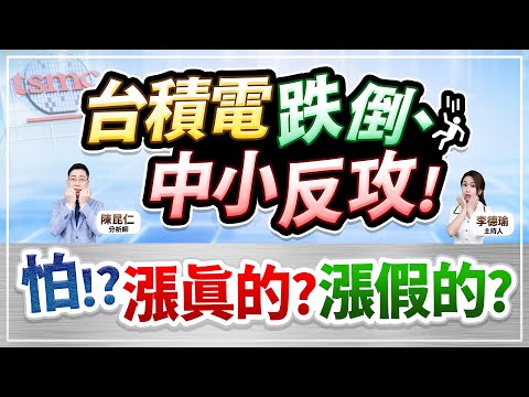 (CC字幕)【台積電跌倒、中小反攻！怕!?漲真的？漲假的？】2024.12.17 台股盤後