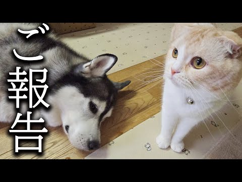 【ご報告】病状について...