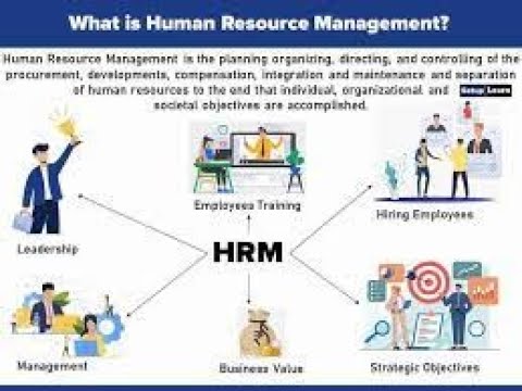 Unlocking Success: The Ultimate Guide to Human Resource Management Explained