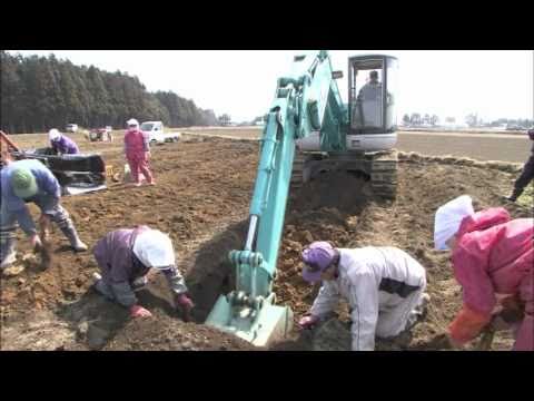 JAゆうき青森（ゆうき青森農業協同組合）のご紹介ビデオ