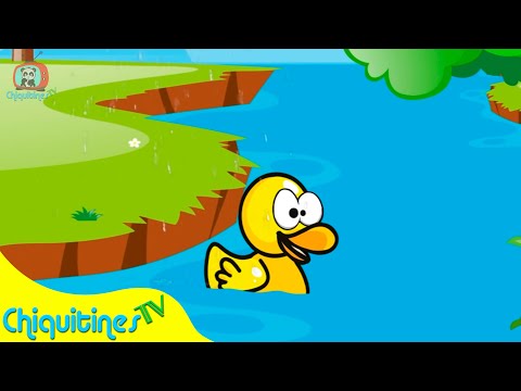 Patitos Cua Cua - Canción Infantil