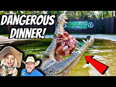 World’s Most Dangerous Christmas Dinner!