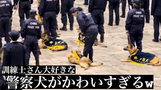 訓練士さん大好きな警察犬がかわいすぎるw 【2024】