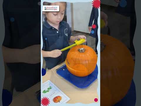 Fall Pumpkin Fun Montessori Activities #excelledmontessori