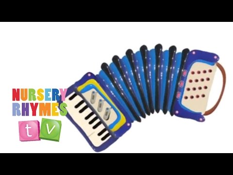 *ACCORDION* | Musical Instruments | Nursery Rhymes TV | Music For Kids