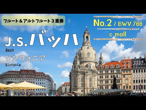 【フルート＆アルトフルート３重奏】J.S.バッハ「シンフォニア」第２番　J.S.Bach / Sinfonia  No.2 c-moll  BWV788