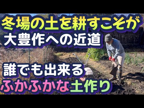 【楽しい家庭菜園】冬場にやる作業で他の畑と差をつける！豊作、大きさ、美味しさを得る為の冬場の努力