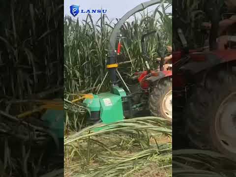 Forage harvester Agricultural Silage Harvester With Storage Bin silage machine #lansutractor