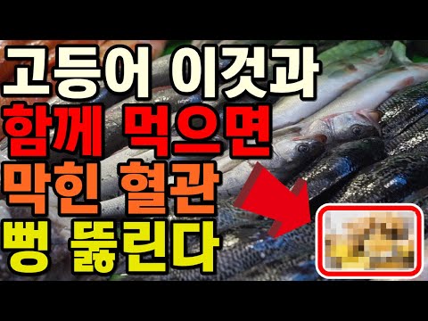 고등어를 이것과 함께 먹으면 꽉 막힌 혈관이 뻥 뚫린다