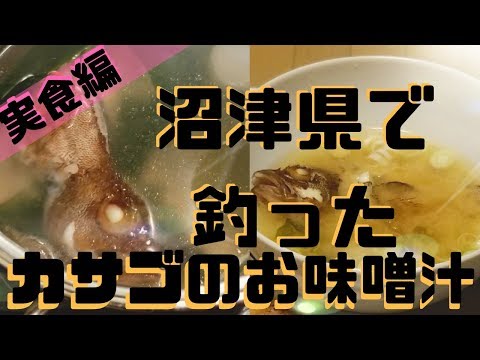 【とよたクック🍳④】沼津県で釣ったカサゴの味噌汁実食編😋