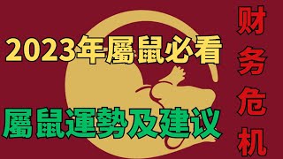 2023年屬鼠運勢分析以及建議#生肖運勢 #生肖鼠