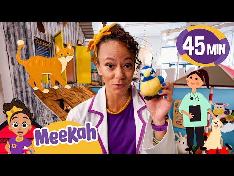 Meekah becomes an Animal Doctor! | Educational Videos for Kids | Blippi and Meekah Kids TV