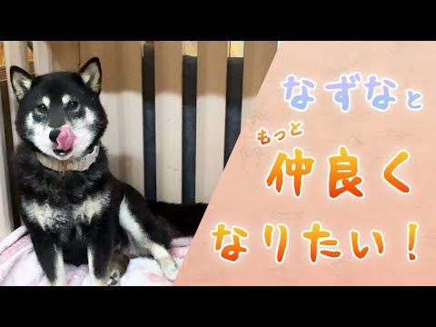 【保護犬なずな】子犬達が可愛い過ぎる♡