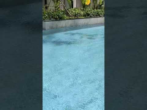 Crystal Clear #travel #traveling #shortvideo #short #pool #cambodia #shorts #relaxing #relax