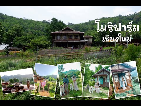 พาชมที่พัก mori natural farm เชียงใหม่ 2/6/64 I Vlog I กระเตงลูกเที่ยว