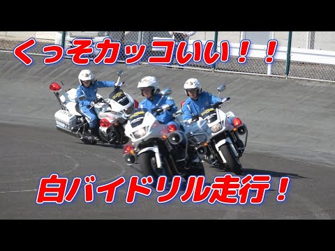 くっそカッコいい！！白バイ大会団体1位の埼玉県警察 交通機動隊のドリル走行～埼玉自動車大学校 オートジャンボリー2023