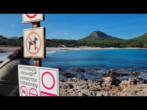 Die Stände rund um Cala Ratjada