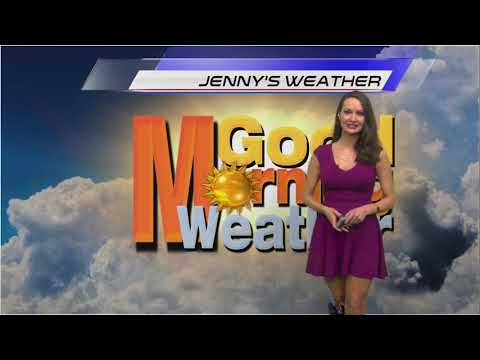 Jenny Milkowski Weather & Traffic Anchor Reel (2022)