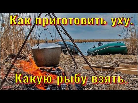 Как приготовить уху. Какую рыбу взять.