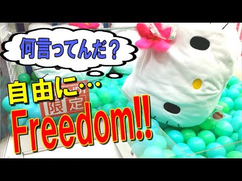 【UFOキャッチャー】500円チャレンジ！キティちゃんを追い込んだらこんな結果に…。　(500 yen challenge!)