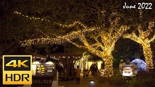 [4K HDR] 定山渓温泉 ネイチャールミナリエ散策 - 札幌 / Strolling in NATURE LUMINARIE at Jozankei Onsen (Hokkaido, Japan)