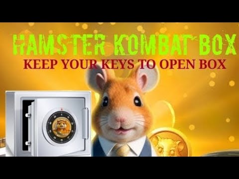 HAMSTER KOMBAT BOX