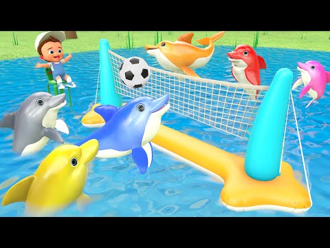 Learn Colors with Baby Color Dolphins: Volleyball Water Sports for Kids in the Pool! 3D Educational