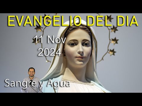 Evangelio Del Dia Hoy - Lunes 11 Noviembre 2024- Sangre y Agua