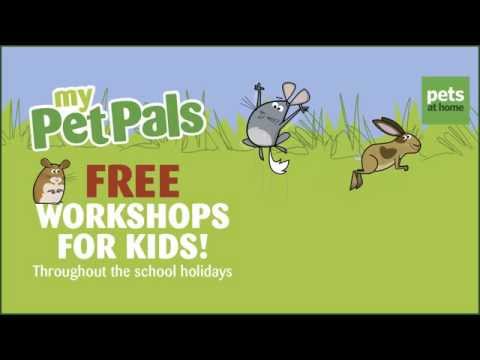 My Pet Pals Summer Workshops 2015 30s