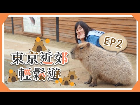 【東京近郊輕鬆遊】EP2 開啓JR PASS→栃木縣那須動物王國｜貝遊日本