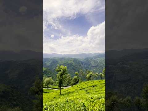 Dolphin Rock View #coonoor