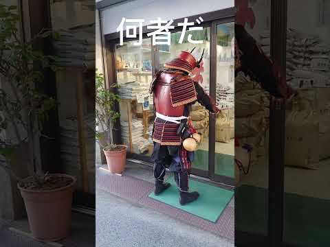 サムライカモン　#japan  #shorts  #samurai