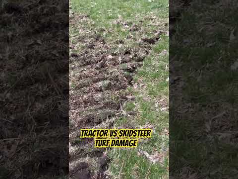 Skidsteer drives on lawn #bulldogtractor #tractorvideo