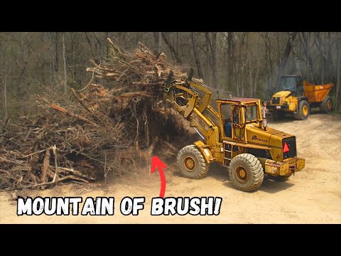 Clearing Trees for a DREAM HOME!