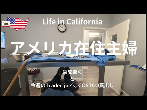 【アメリカ在住主婦】歯を抜く｜今週のTrader Joe's,COSTCO買出し｜アメリカの子どものお誕生日会の会場は...|久しぶりに日系スーパーへ