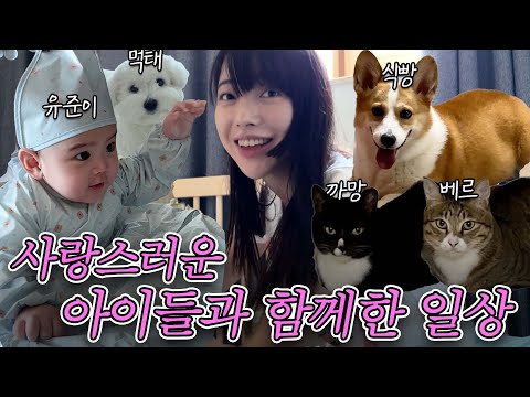 [VLOG] 귀여운 존재들과 함께한 일상 브이로그(심장주의🚨) | 이모의 조카 사랑 | 만렙집사의 주말 🐶😸