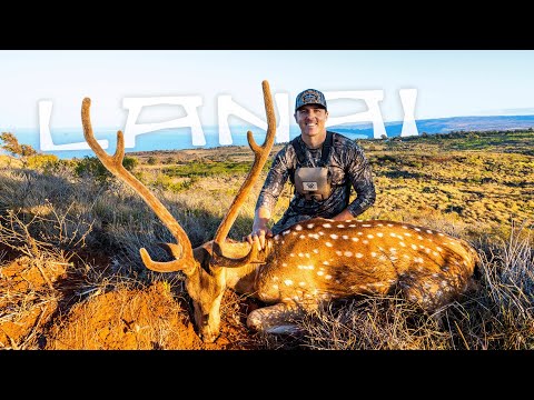 HAWAII: Axis Deer Hunting An Abandoned PINEAPPLE Plantation! (Spot&Stalk)