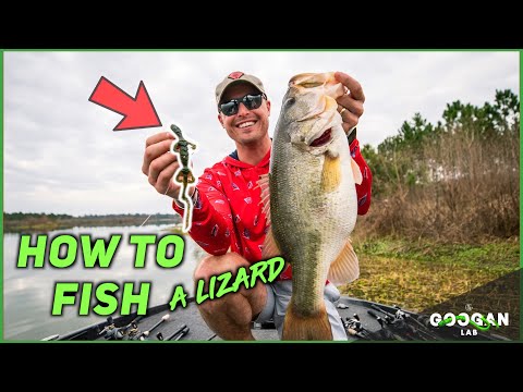 HOW TO Fish a Lizard! ( BASS FISHING TIPS )