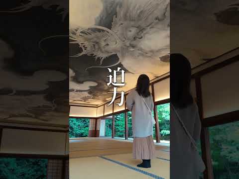 【京の冬の旅公式】禅寺でアートに触れる冬の旅、迫力の龍と美しき枯山水庭園 #京都 #京の冬の旅