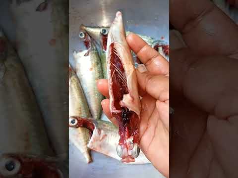 Fresh அ ayla மீன், fresh fish a கண்டுபிடிக்க ஒரு நல்ல டிப்ஸ், #ஷார்ட்ஸ், #shorts,