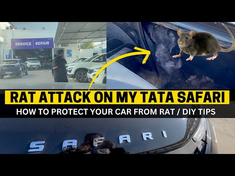 TATA SAFARI RAT ATTACK | DIY RAT PROTECTION | RAT RODENT REPELLENT HOW TO PROTECT CAR FROM RAT