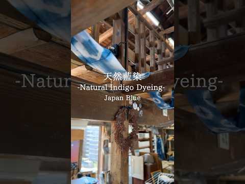 Japan blue- Natural Indigo Dyeing-