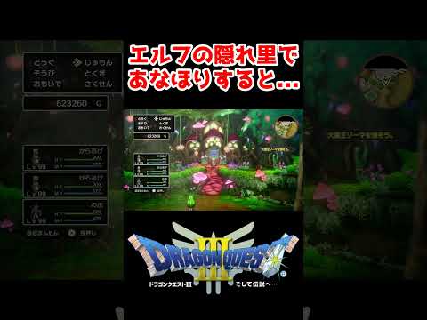 隠された財宝エルフの隠れ里【ドラクエ3リメイク】ドラゴンクエスト3 HD-2Dリメイク レベル上げ