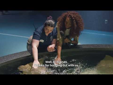 HAPPINESS is... the Virginia Aquarium!