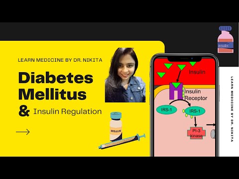 Diabetes Mellitus & Insulin Regulation - Part 1 I Dr. Nikita