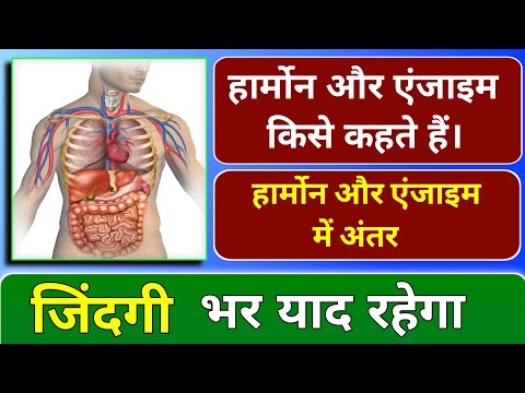 हार्मोन और एंजाइम किसे कहते है।और इसमें अंतर || Difference between Harmon and Enzyme in Hindi #bio