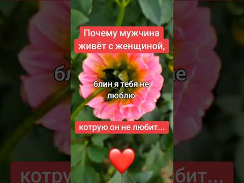 Почему мужчина живёт с женщиной, которую не любит💔💔💔