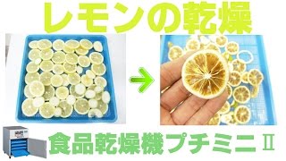 [果実乾燥]業務用ドライフルーツメーカーでレモンの乾燥（プチミニⅡ）