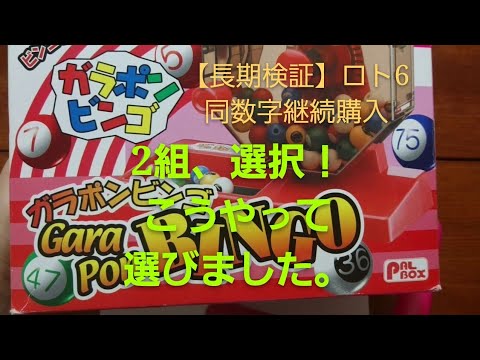 【長期検証】ロト6同数字継続購入、105回目の前に…。